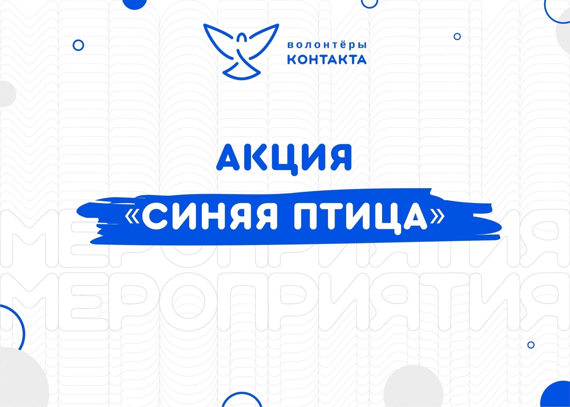 Молодежь Петербурга открывает новый сезон очистки улиц от запрещенной рекламы